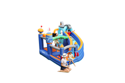 Doctor Dolphin Hoppeborg